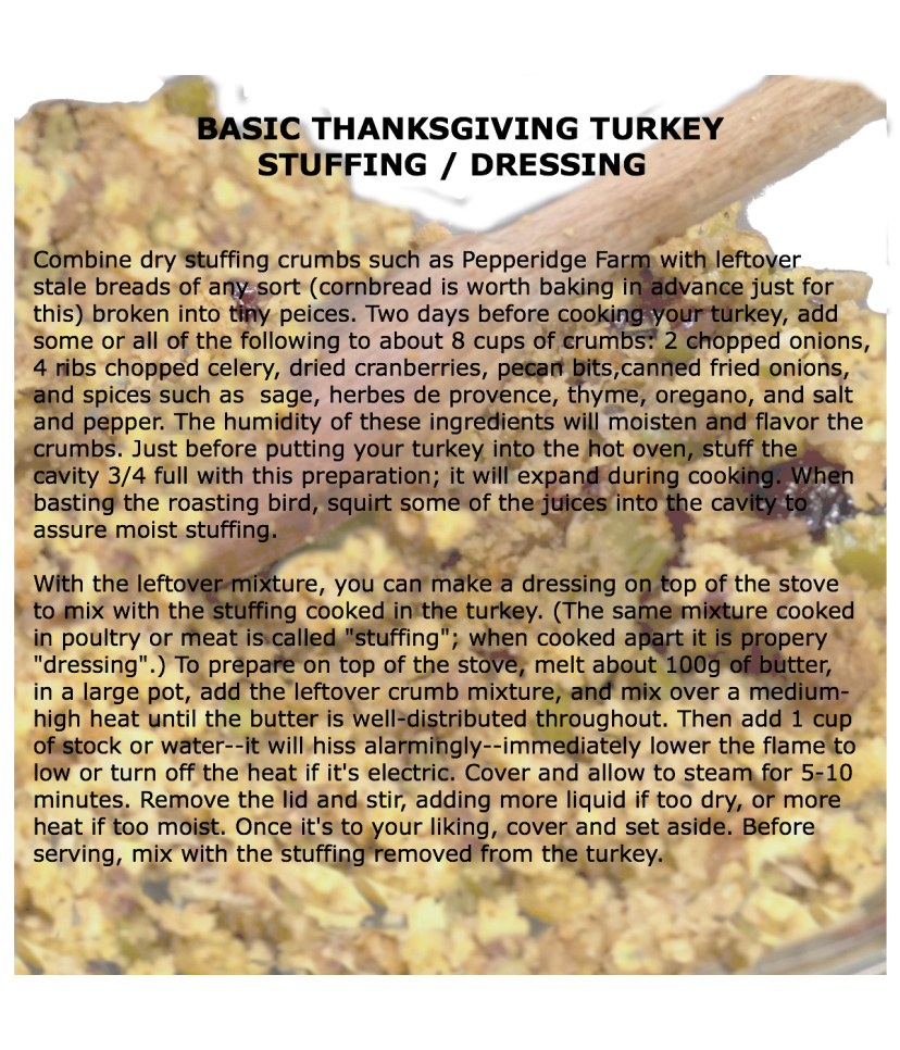 basic Thanksgiving turkey stuffing / dressing
